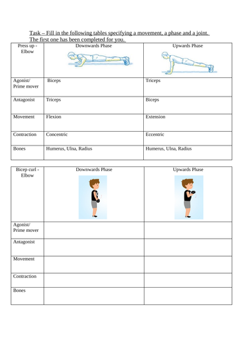 Movement analysis worksheet. Antagonist pairs, movement type, contraction type and bones.
