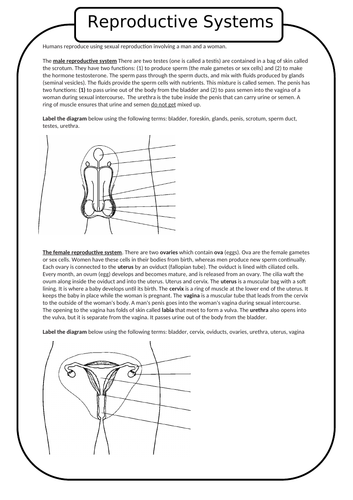 Aqa 9 1 Trilogy Biology Reproduction Hormones Puberty Menstrual Cycle 9815