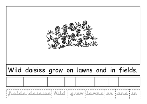 Summer Sentence Boards