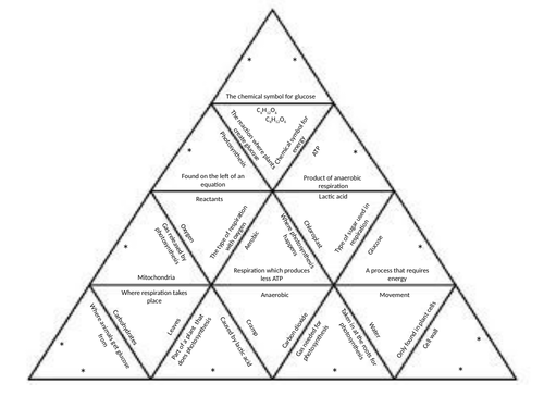 Respiration Tarsia