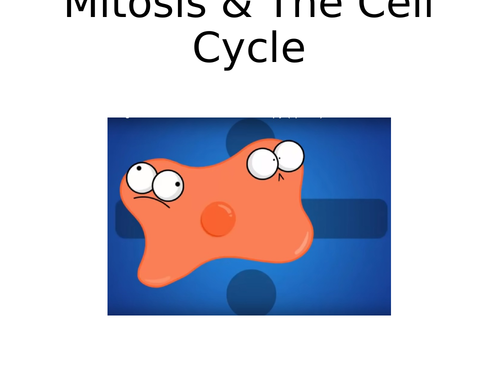 9-1 AQA GCSE Biology - U1 L5 Mitosis & The Cell Cycle