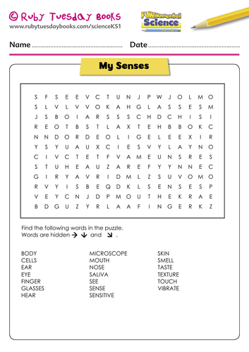 five-senses-word-search-five-senses-worksheet-history-word-senses