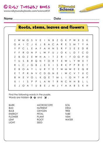 Roots, Stems, Leaves and Flowers word search