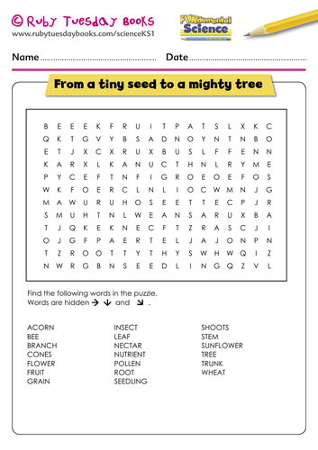 From a tiny seed to a mighty tree word search