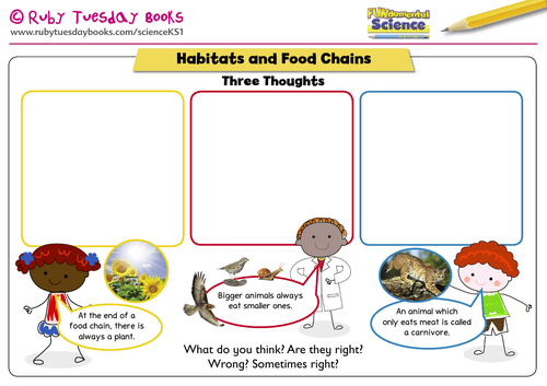 Three thoughts - habitats and food chains. Addressing themes and misconceptions.