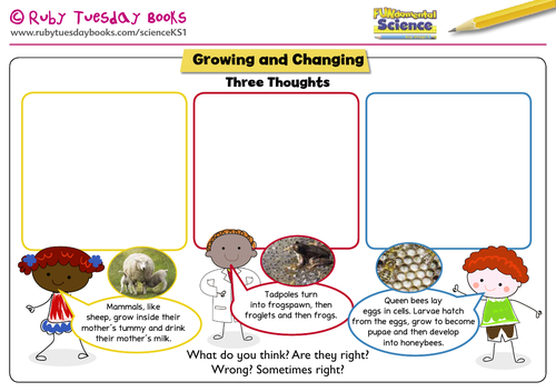 Three Thoughts - Growing and Changing. Addressing themes and misconceptions.