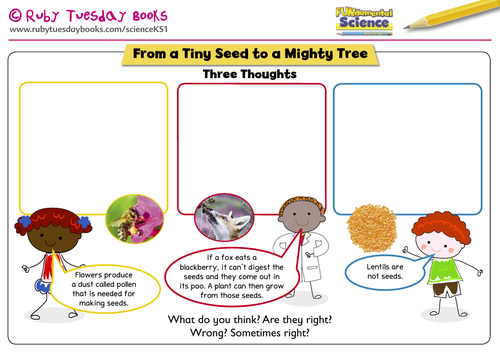 Three Thoughts - From a tiny seed to a mighty tree. Address themes and misconceptions.