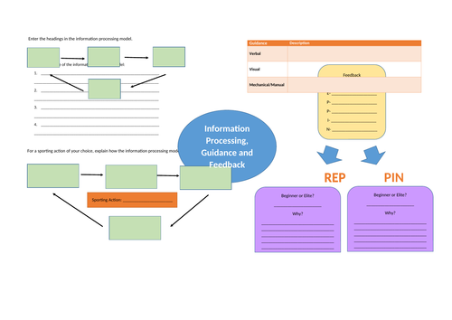 AQA 9-1 GCSE PE Revision Learning Mat- Information Processing, Guidance and Feedback