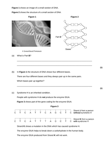9-1 AQA GCSE Biology - U6 L3 DNA and The Genome