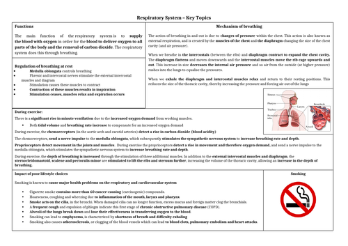 A Level / GCSE PE - Respiratory System - Topic on  a page