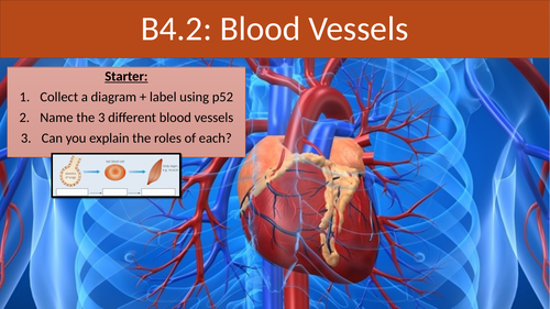 AQA 9-1 NEW GCSE B4.1 ORGANISING ANIMALS AND PLANTS LESSON 2 BLOOD VESSELS