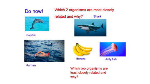 Taxonomy and classification 4.2.2 OCR Biology A
