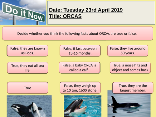 Argumentative writing - ORCAs in captivity