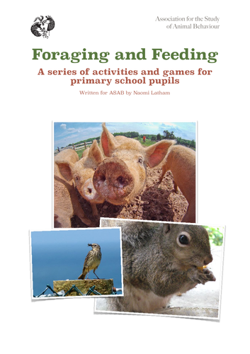 Foraging & Feeding: Activities and team work games for eating, senses & adaptation