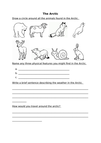 Arctic Worksheet