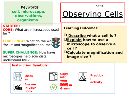 Year 7 Observing Cells Activate 1