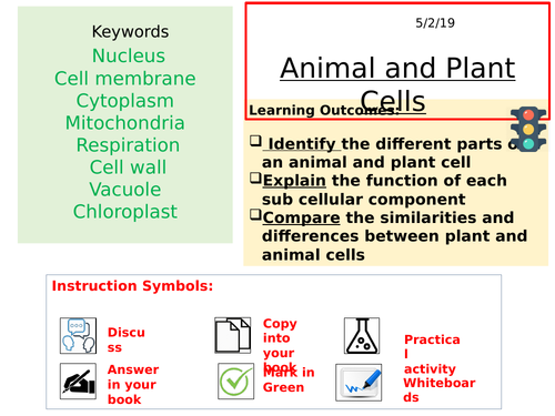 Year 7 Animal and Plant Cells Activate 1