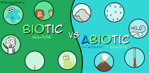 9-1 AQA GCSE Biology - U7 L2 Biotic and Abiotic Factors