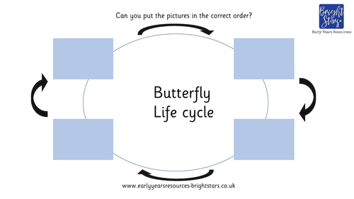 Life Cycle of a Butterfly