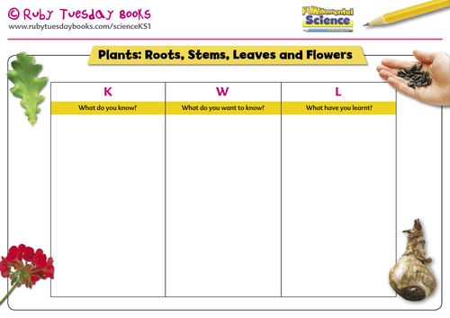 KWL grid - Plants (roots, stems, leaves and flowers)