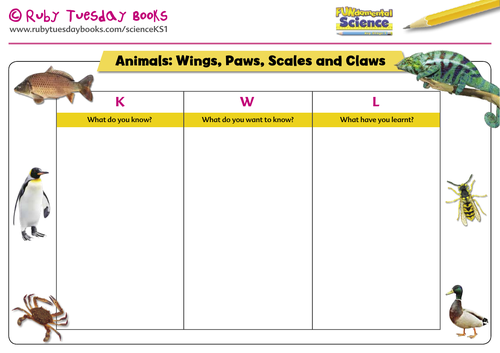 KWL grid - Animals (wings, paws, scales and claws)