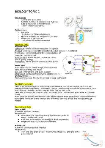 Biology AQA GCSE topic 1 WITH required practicals