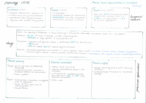 A* A-level Psychology Crime Summaries