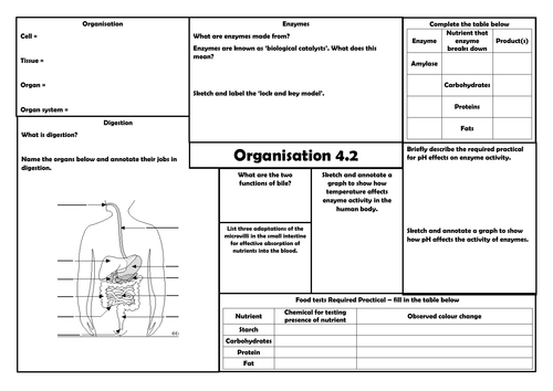 4.2 Biology (Triple and trilogy) Organisation revision question sheets