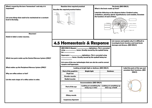 4.5 Homeostasis & Response: Nervous System