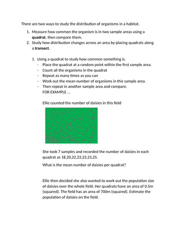 Using transects and quadrats