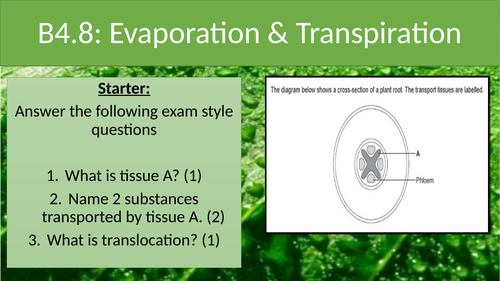 NEW AQA 9-1. B4 Organizing Animals and plants, Evaporation and Transpiration