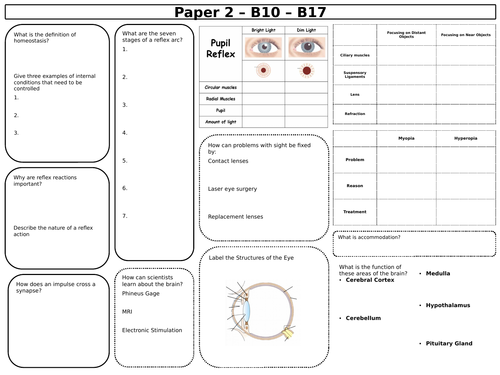 New 9-1 Triple Biology GCSE Summary Revision Sheets