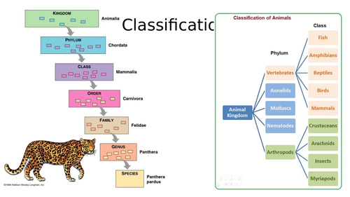 Introduction to GCSE Biology ecology