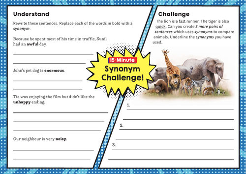 Synonyms SPaG Challenge Mat