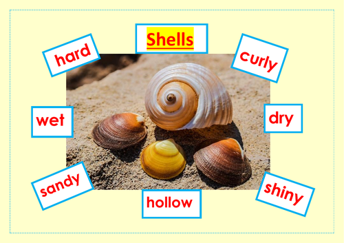 shell-words-to-read-8-teaching-resources