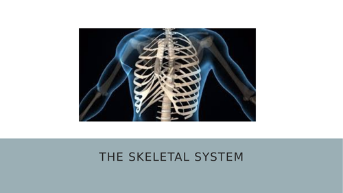 Skeletal system presentation and worksheets. GCSE bones. Powerpoint and activities.