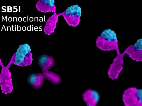 Edexcel SB5l Monoclonal Antibodies