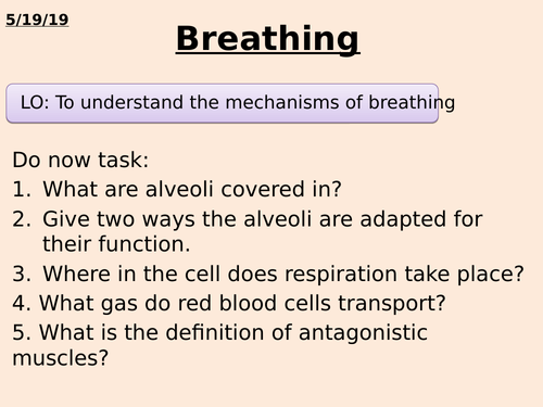 KS3 Breathing lesson