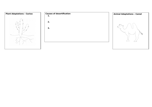 Living World Revision