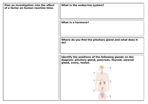 AQA Combined Trilogy Biology B5 Revision Mat with Model Answers