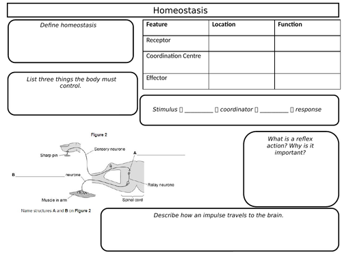 GCSE Biology Revision Sheets