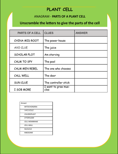 Plant Cell - Labelling - Anagram