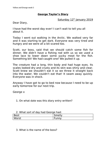 Year 2 Diary Entry Comprehension