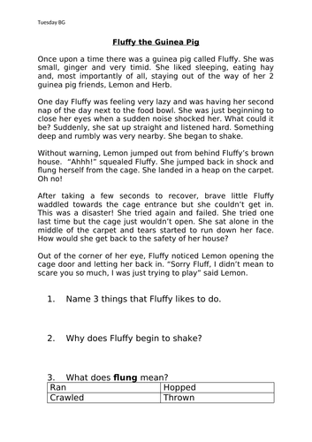 Story Comprehension Year 2