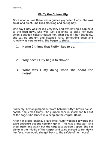 Story Comprehension Year 2