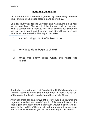 story comprehension year 2 teaching resources