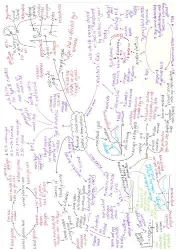 Edexcel (9-1) CB7 - mind map