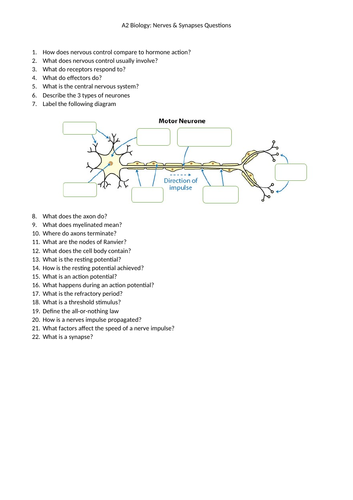 A2 Biology Nerves & Synapses Questions & Answers