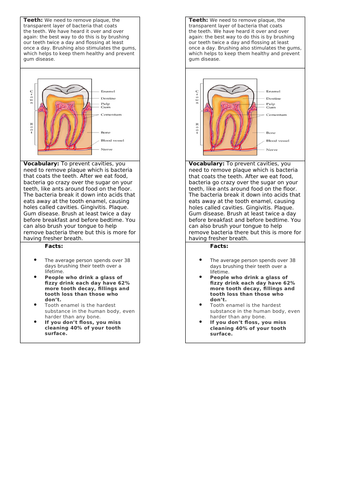 Animals including humans science strips