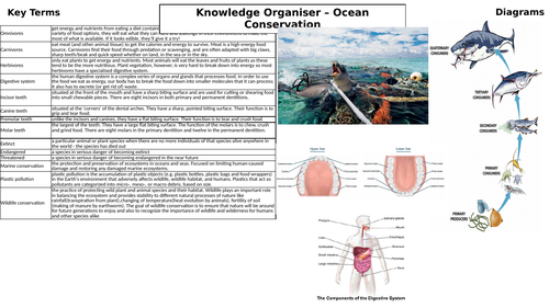 Animals including Humans knowledge organiser